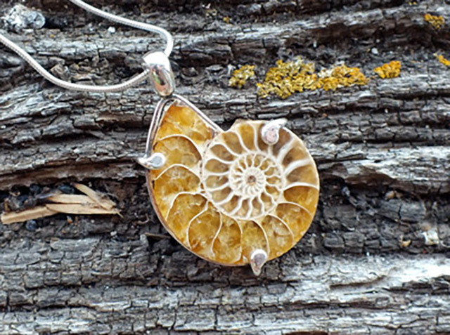 Ammonite Pendant on 925 Silver