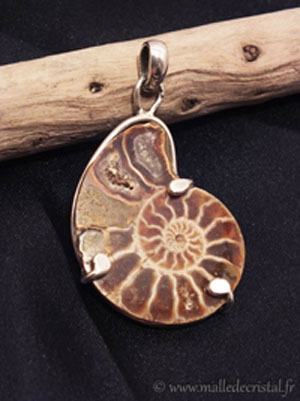  Ammonite / Nautile pendentif argent massif
