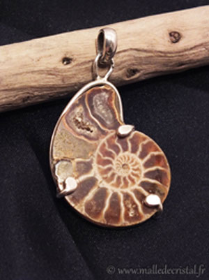  Ammonite / Nautile silver sterling handmade designer pendant