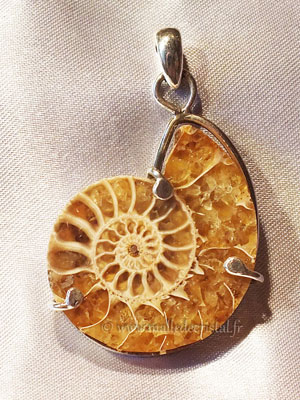 Ammonite shell silver sterlign designer pendant