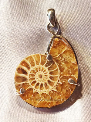  Ammonite fossile pendentif argent massif