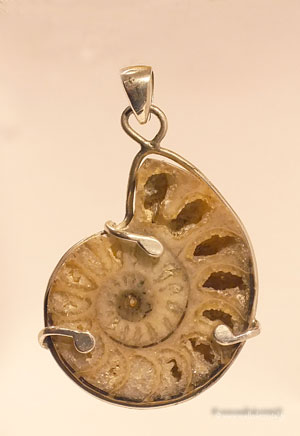  Ammonite pendentif argent massif 925 créateur