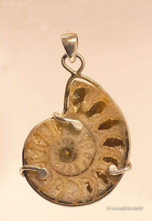  Ammonite silver sterling handmade designer pendant