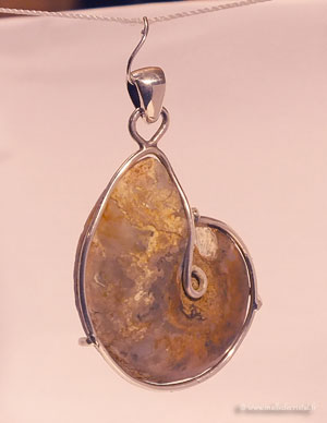  Ammonite silver sterling pendant