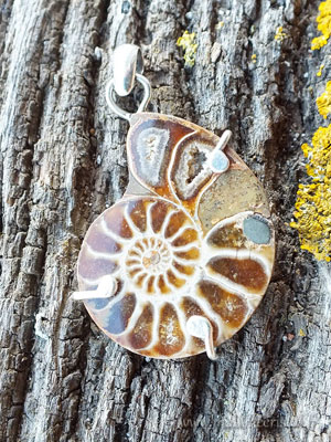  Ammonite silver sterling pendant