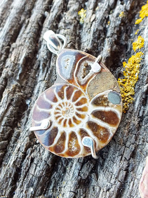  Ammonite pendentif argent massif 925 créateur