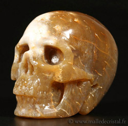 crâne sculpté