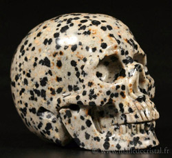 Jaspe Dalmatien sculpture 02