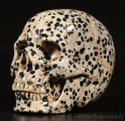 carved skull