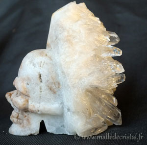  Crâne sur druse de Cristal sculpture 03
